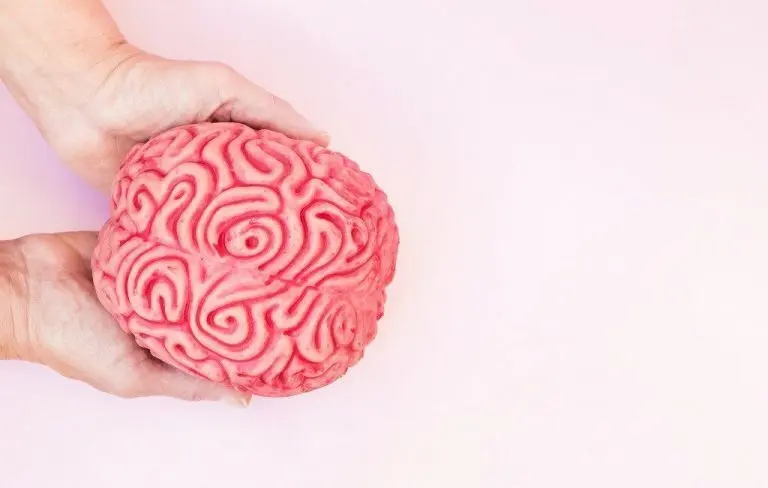 Tulisan Tangan dan Kaitannya dengan Otak